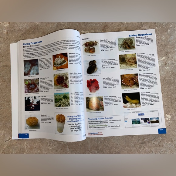 Carolina Science 2024-2025 Catalog - Picture 4 of 11